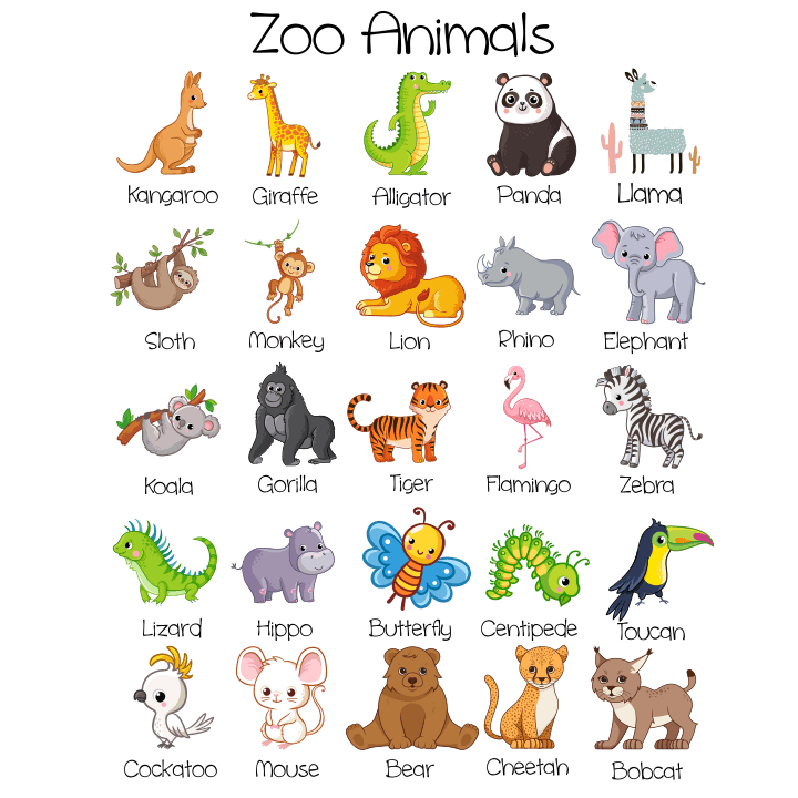 Build Your Own Zoo Animal Collection